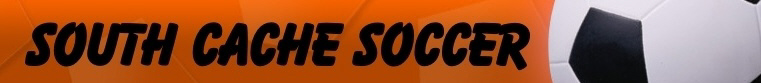 2014 Fall SCSL Rec League banner